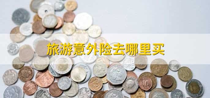 旅游保险如何办理