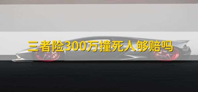 三者险300万撞死人够赔吗
