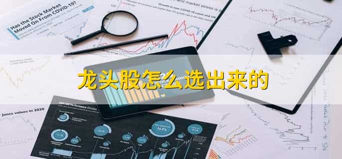 龙头股怎么选出来的,有以下五点