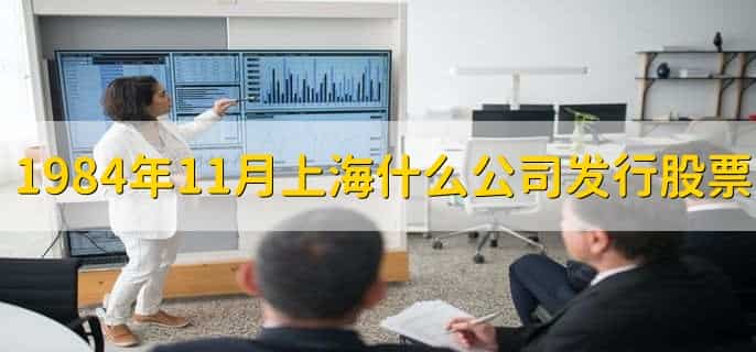 1984年十一月上海什么公司发行股票,上海飞乐音响公司