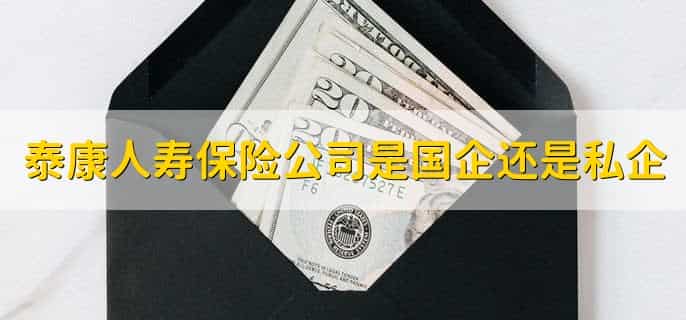 泰康人寿保险公司是国企还是私企，私企