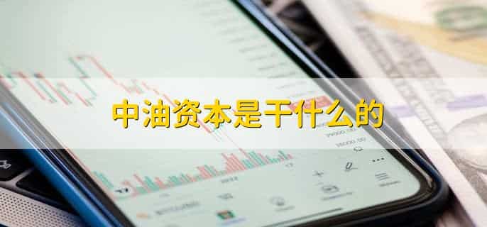 中油资本是干什么的，有以下三点