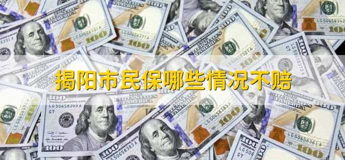 揭阳市民保怎么投保