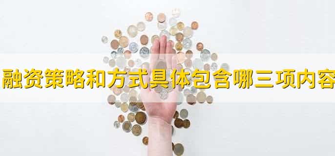 融资策略和方式具体包含哪三项内容，有以下三点