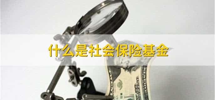 什么是社会保险基金，什么是社会保险基金收入