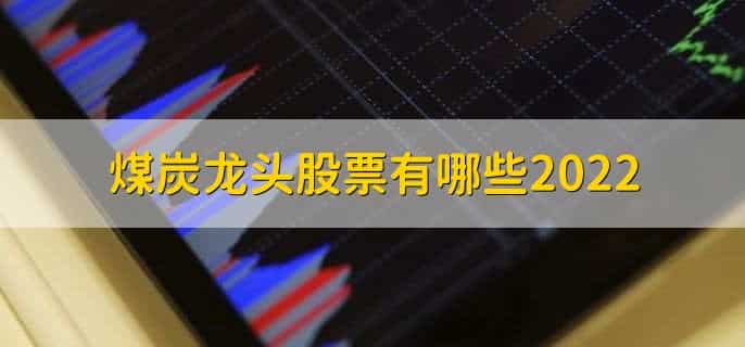 煤炭龙头股票有哪些2022