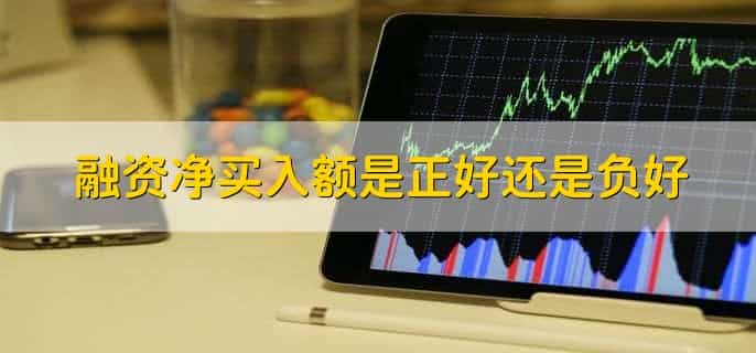 融资净买入额为负数是什么意思