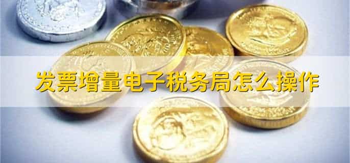 发票增量电子税务局怎么操作
