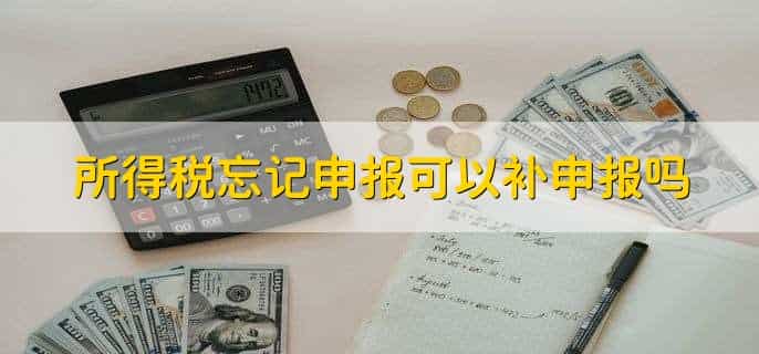 所得税计税依据