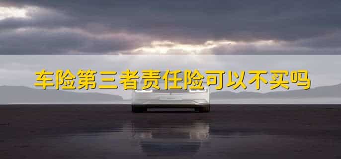 三责险包括自己车上人吗,不包括