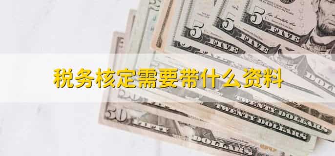 税务核定征收什么意思