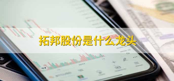 拓邦股份是什么龙头