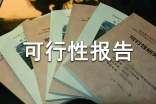 什么是可行性报告