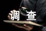 社会调查报告模板（优选15篇）