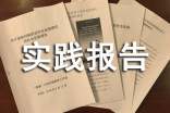 7月高中生社会实践报告