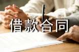 正式版金融借款合同书