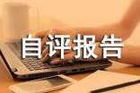 标准化自评报告