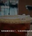愉悦与苦痛百度,为什么你总被痛苦困住？因为你没看懂它的本质