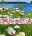 我眼中的秋天,现代诗《我眼中的秋天》