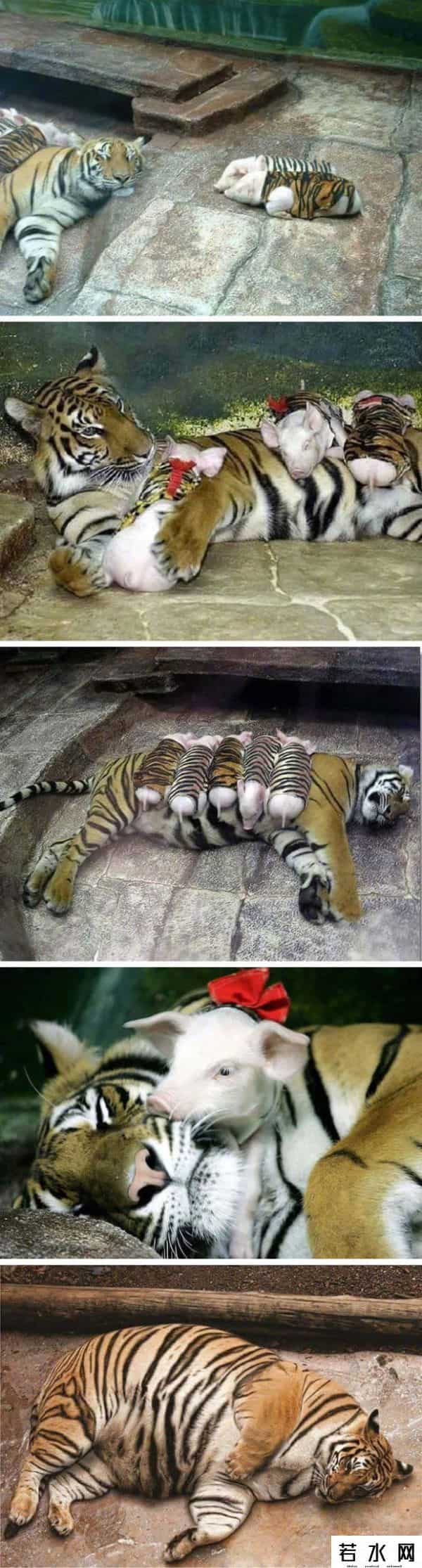 留学回国做按摩师