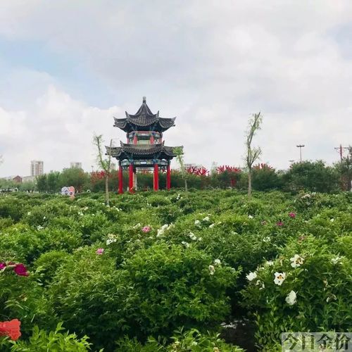 黄金瞳gl