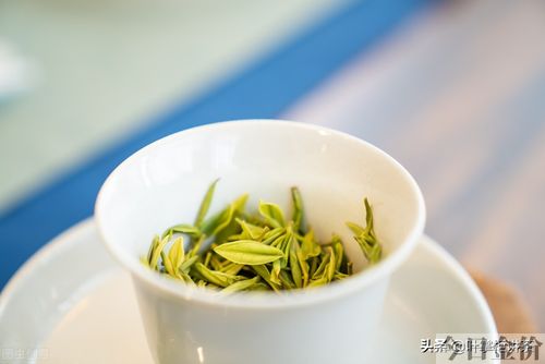 安吉黄金叶