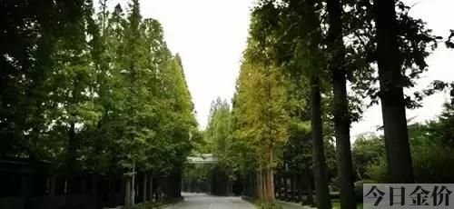 江都黄金大道在哪