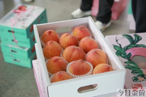 黄金蟠中蟠13图片