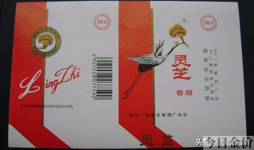 黄金叶非卖品