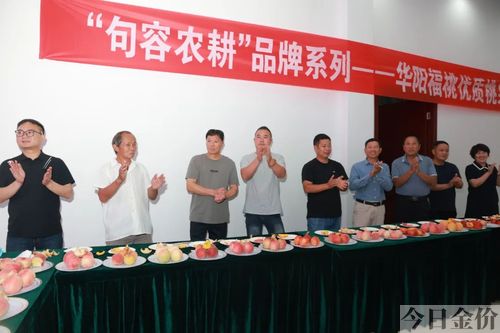 黄金蟠中蟠13图片