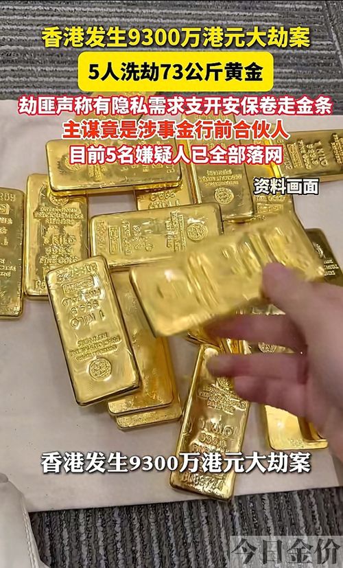 黄金大劫案百科