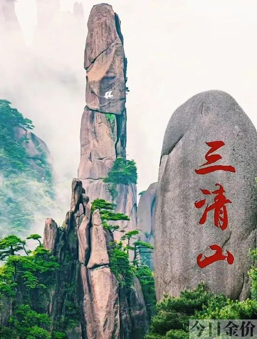 三清山黄金茶