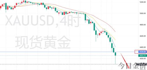 现货黄金操作建议