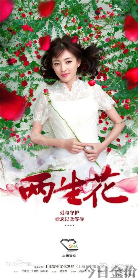 盛女的黄金时代 电视剧