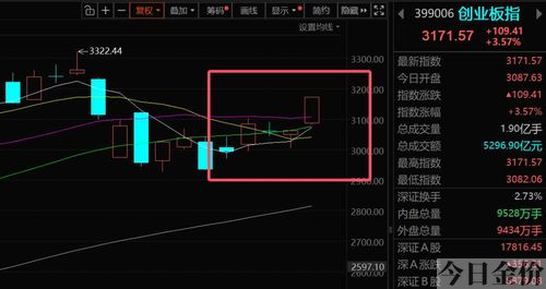 黄金100秒青木组合