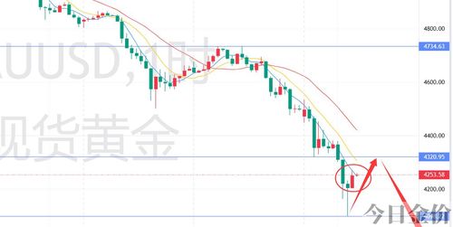 现货黄金操作建议