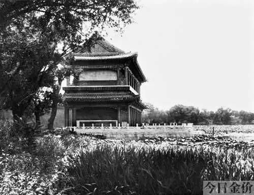 北平黄金