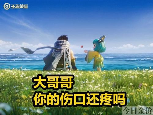 诸葛亮黄金分割率台词
