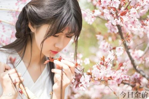 黄金妖瞳txt下载