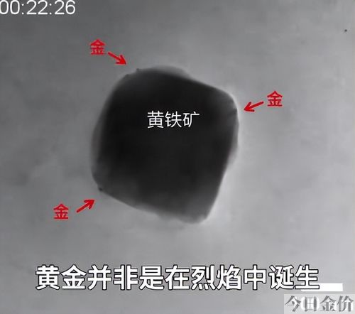 什么可以吸黄金