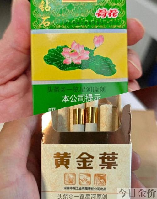 黄金叶薄荷