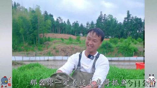 黄金鳄龟