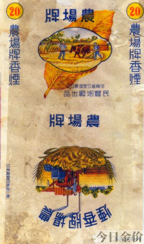 黄金叶大m多少钱