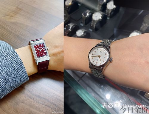 超级黄金眼免费阅读