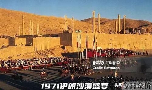 黄金马桶图片