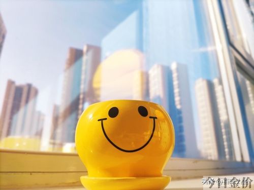 黄金大盘价格今日每克价格在哪儿看
