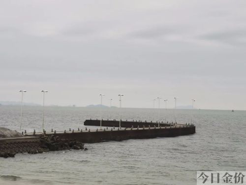 昌黎黄金海岸房价