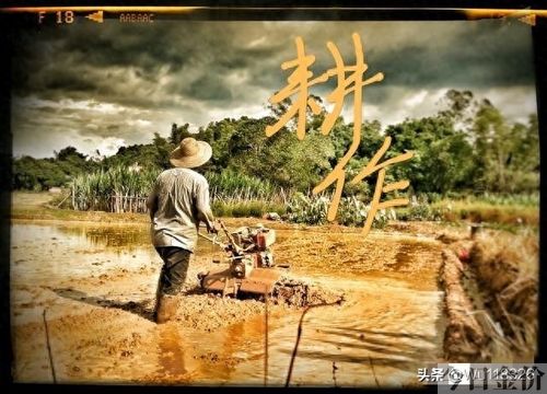 梦见很多黄金