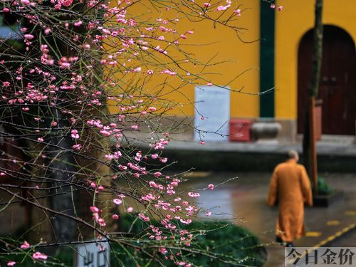 冒险岛黄金寺院怎么去