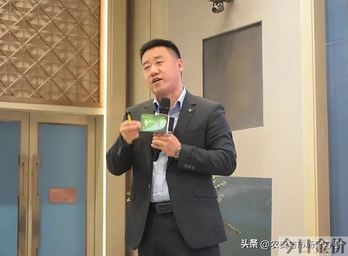 黄金叶品种